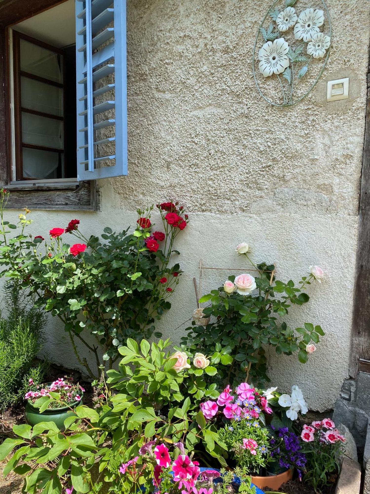 B&B De Charme La Maison Des 5 Temps Ferrette Zimmer foto